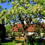 De stal grenst aan de fruittuin